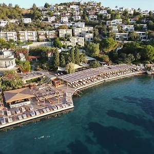 Hotel No81, Golturkbuku